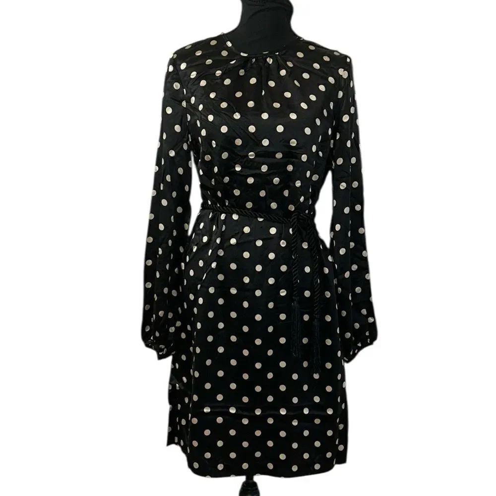 Elizabeth McKay Polka Dot Tie Waist Mini Silk Dress(Size 4)